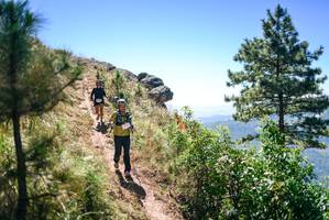 BIB: 
                            <button type="button" onclick="openModal(26606140)" class="btn btn-primary btn-sm float-right btn-popup" data-toggle="modal" data-target=".modal-high-quality">
                        <i class="fas fa-shopping-cart"></i> Add to Cart
                    </button>
                                            <button type="button" onclick="isThisMe(26606140, true)" class="btn btn-success btn-sm float-right btn-popup btn-isme hidden" data-toggle="tooltip" data-placement="bottom" title="นี่คือรูปของคุณใช่ไหม คลิกที่นี่เพื่อเอาเข้าอัลบั้ม">
                        <i class="fas fa-plus"></i> Add to album
                    </button>
                    <button type="button" onclick="isThisMe(26606140, false)" class="btn btn-warning btn-sm float-right btn-popup btn-isnotme hidden">
                        <i class="fas fa-ban"></i> Remove from album
                    </button>